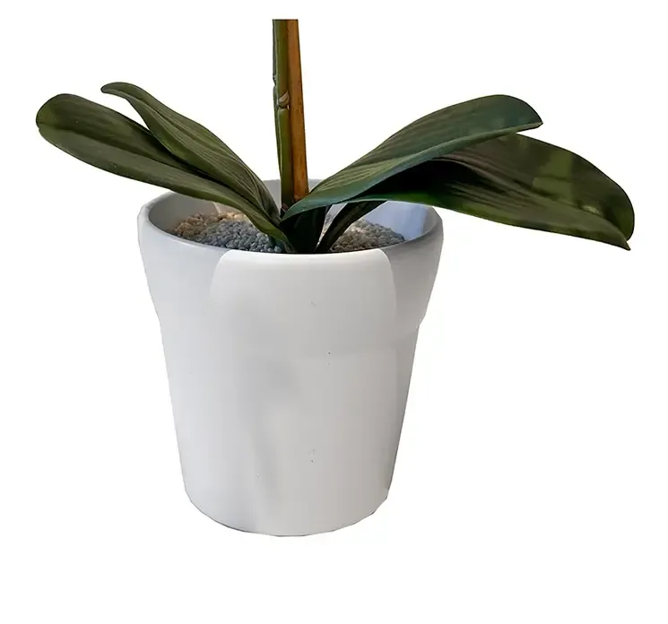 Kunstig orkide i hvid med hvid potte closeup af potte