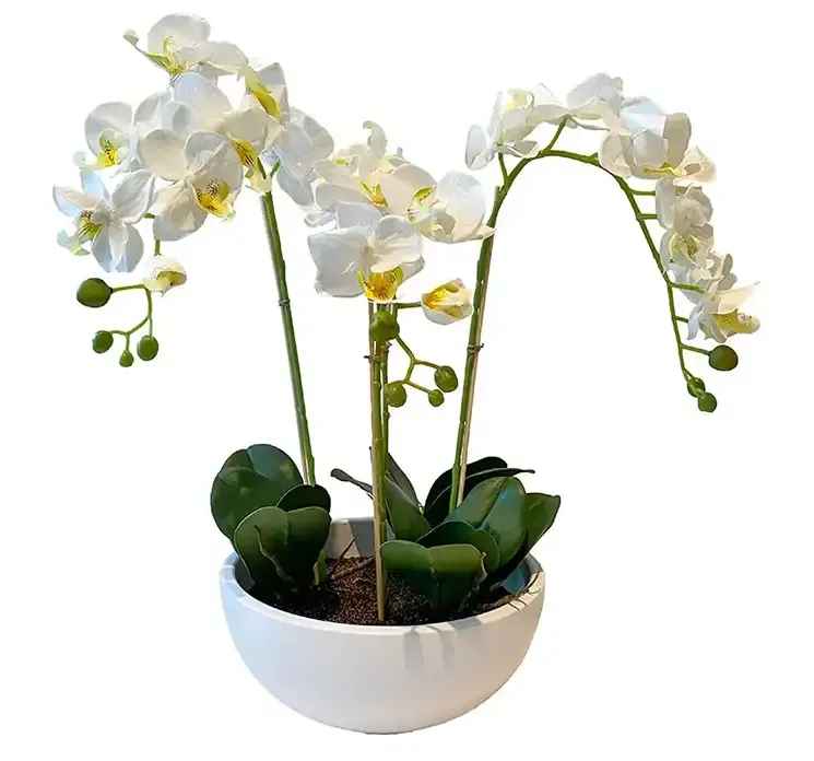 Kunstig hvid orkide i hvid rund potte af plast