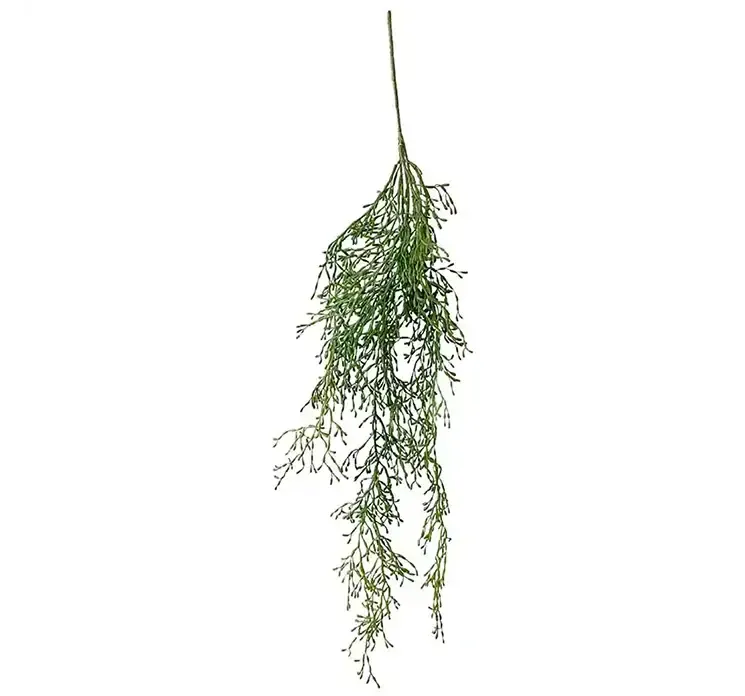 Kunstig mistelten kaktus plante hænger på stilk i grøn