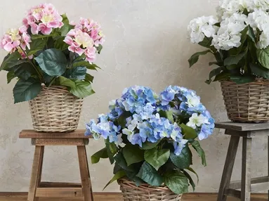 Kunstige hortensia blomster i fine fletkrukker
