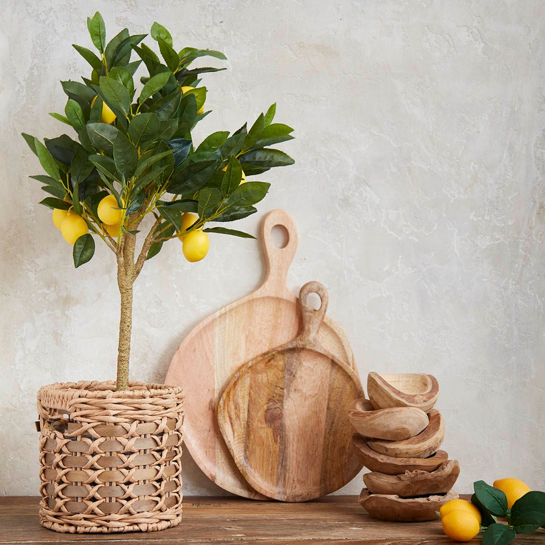 Citrontræ