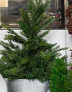 Køb dit kunstige juletræ hos Brøndsholm 