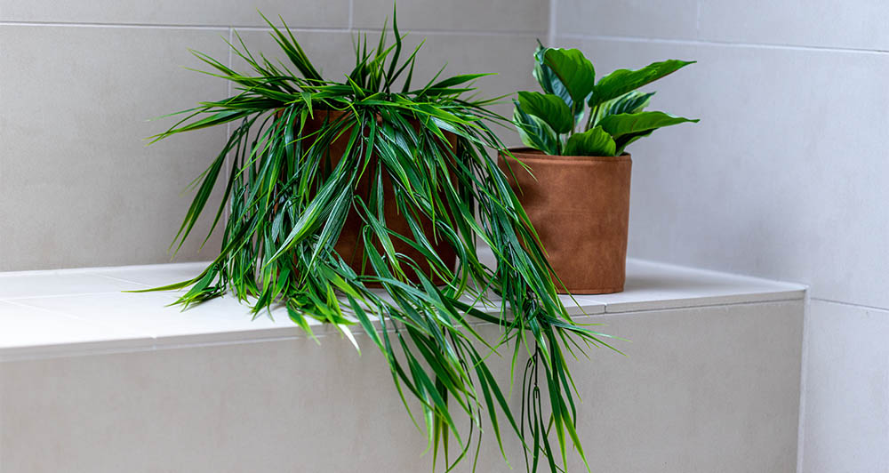 Kunstige planter og blomster løsningen til dit badeværelse